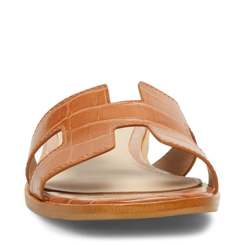 Sandalias de Diapositivas Steve Madden Hadyn Mujer Marrones | ES BV6S9E